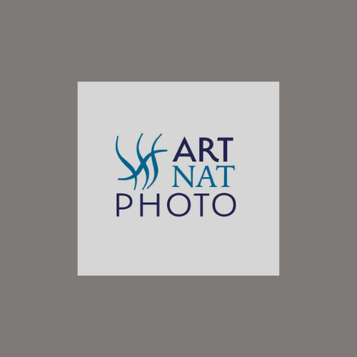 ARTNATPHOTO